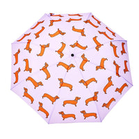 Saucisse-chien | Parapluie-canard